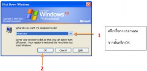การใช้คำสั่ง Hibernate Mode